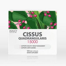 이노헬스앤케어 시서스 15000mg 120캡슐, 1개