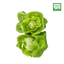 친환경 무농약 버터헤드 / 프릴아이스 / 통로메인 / 카이파라 500g 스마트팜재배, 버터헤드레터스 500g