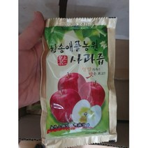 가을부사사과즙 믿고 먹는 청송애플농원사과즙 오리지널 [100팩], 즙