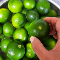 제주 농장직송 햇 청귤 풋귤 5kg, 1개