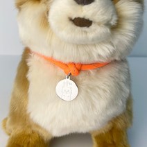 형광인식줄 강아지목걸이 반려동물 목걸이 인식표 인식줄 고양이인식표 써지컬, 목걸이사이즈+글씨체+드로잉+각인내용 꼭 남겨주세요, 형광오렌지