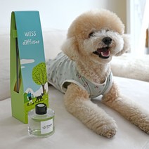 위스펫 반려동물 강아지 고양이 천연 아로마 디퓨저 선물 실내방향제 120ml 단품, 로즈