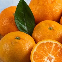 당도 함께 영화청과 특급 제주도 귤 4.5kg 청 만들기 타이벡 노지 조생 스윗 달콤맛있는, 상세페이지 참조, 단품