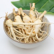 축복농장 금산고려인삼 세척수삼 세척인삼 300g 인삼 수삼 난발삼 진공포장, 1팩, 세척안한인삼 300g