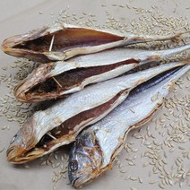 오징어군땅콩양 보리굴비 영광 법성포 왕특대 부세 내장제거 손질 (개별진공) 대 30cm이상부터 가정용, 10마리, 3특대31cm이내