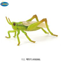 파포 (모형완구) 메뚜기