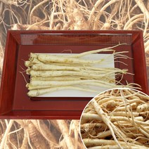 청정 영주소백산도라지 세척/깐/흙도라지 산지직송, 1팩, 세척도라지-나물용상품_1.5kg
