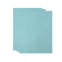아이엠 A4레자크지 120g 100매입 개별포장 레자크지 민트색