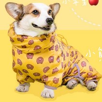 웰시코기우비 대형견우의 강아지비옷 봄비, 심황 쿠키