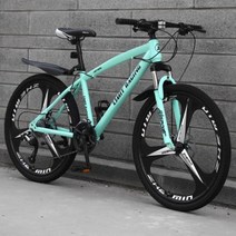 로드 산악 자전거 남녀공용 레이싱, Three Knives-Bianchi+21speed