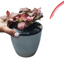 자동급수 책상 화분 플라스틱 화이트 원형 초미니 소형