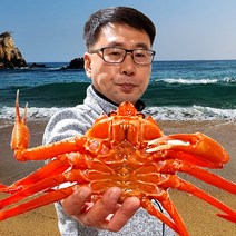 속초& 후포 일반형 홍게 3kg(7~11미) 가성비 갑 / 고급형_프리미엄형_박달형_연지홍게 선택가능 붉은대게 대게, 06_3.자숙(찜) 프리미엄형 3kg