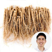 인삼수삼 잔삼계삼 80뿌리내외 750g 대명이네인삼