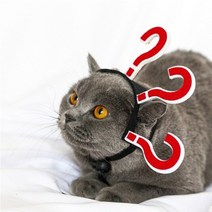 할로윈 애완 동물 고양이 머리 장식 재미 있은 고양이 개 머리 장식 강아지 고양이 새끼 고양이 크리스마스 파티 애완 동물 의상 액세서리, A_23x5x10cm | CHINA
