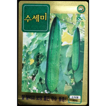 수세미씨앗20립 잘 달리고 모양 좋은 우수 품종 KS종묘, 1개