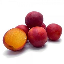 플럼코트 자두 살구 2kg, 1