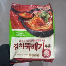 풀무원 김치뚝배기우동 1053G 4인분 신선포장 아이스박스 + 아이스팩, 1개