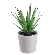 이케아 FEJKA 인조 다육 화분 6cm 조화 분재 식물 플랜트 홈가드닝 미니 다육이 인테리어소품