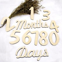 신생아 우드토퍼 베이직 50일 100일 200일 아기 셀프촬영 디데이 성장카드