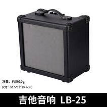 분체 다용도 전기 휴대용 베이스 키보드 공연 악대 기타앰프, T06-LB-25(20W)스피커