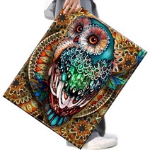 FASEN 액자 캔버스형보석십자수 DIY세트 라운드 비즈 40 X 50cm, FSE14.귀한부엉이