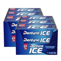 Dentyne 덴타인 아이스 페퍼민트 무설탕 288회분, 1개
