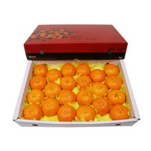 농장직송 고당도 레드향 3kg 5kg 10kg, 1박스, 레드향 5kg 특대(19~23과)