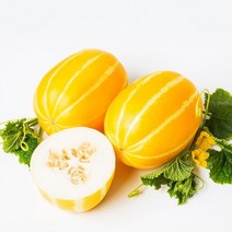 신선코리아 성주참외 포장 황금알참외 4kg 시세 박스 농장 참외 당일수확 제철과일 산지직송 고급품 선물용, 가정용 못난이 3kg