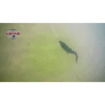 4D루어 꺽임루어 분리형루어 관절루어 하드베이트 배스루어 농어루어, 7
