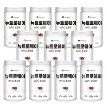 뉴트로웨이 WPC 600g 초코맛 단백질 보충제 프로틴 프로틴 푸로틴 분말 가루 헬스 파우더, 11통, 프로틴 WPC 600g 초코맛