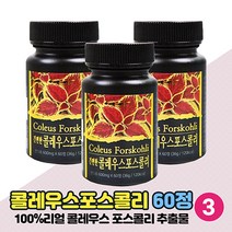 콜레우스 포스콜리 정 콜리우스 포스콜린 추출물 분말 함유 환 형태 코레우스콜리우스 코레우스포스콜린 가루, 60정 3개