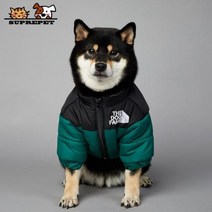 2023 SUPREPET패딩 개 겨울 옷 따뜻한 방풍 솔리드 코트 코튼 디자이너 대형 강아지 액세서리, green+L