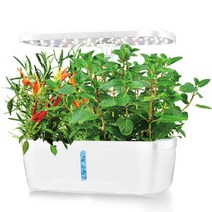 유기농 LED 식물 수경 재배기 6구 SWISS WINGER 아이 교육용 홈가드닝 채소 야채 키우기 친환경 공기정화, 상세페이지 참조