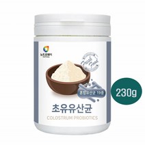 초유 유산균 19종혼합 농축유청단백 프로바이오틱스 균형단백질 콜로스트럼 프리바이오틱스 락토바실러스 가세리 고단백 가루 추천 식약처