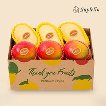 [수플린] 애플망고 & 태국골드망고 과일선물 (2kg 이상 5-7입로얄과), 단품