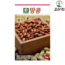 땅콩 씨앗 30g 재배 용이 초세 강함 비타민 풍부 + 네임택, 단품