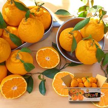 한라봉 가정용(22-25과) 4.5kg, 단품