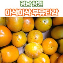 경남 창원 감 단감 부유단감 5kg 소 중 대, 부유단감5kg_소