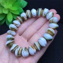 수석 천연석신제품 보석 달팽이 화석 팔찌 손으로 조각 한 쉘 13mm 여성용 쥬얼리, 01 1pcs_01 13mm_01 16.5 센치메터
