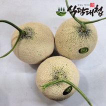 식탐대첩 머스크 메론 특대 2통 (1통당 2kg 내외), 1