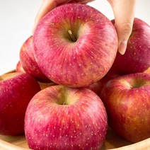 고당도 경북 청송 사과 햇 부사 정품 흠과 혼합 가정용 꼬마10kg (46-48과)