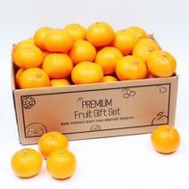 제주삼촌 햇 천혜향 10kg 5kg 3kg 고당도 제주천혜향, 1box, 천혜향 5kg 소과