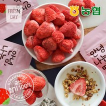 [농협] 생딸기그대로 동결건조 과일칩 나는딸기얌 12봉, 동결건조 딸기칩 나는딸기얌 12봉, 상세설명 참조