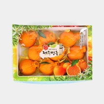 친정 시댁 친척 과일선물 한라봉 1box 부모님설선물