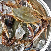 연평도 국내산 알배기 냉동 암 꽃게, 빙장 2kg(6미~10미), 1개