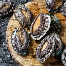 완도 산지직송 활전복 1kg 20~25미