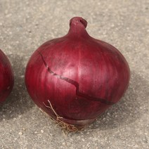 자색양파 맵지 않은 햇 적양파 1kg 5kg 샐러드 샌드위치 단단한 자주색양파 red onions, 자색 적양파 (1kg)