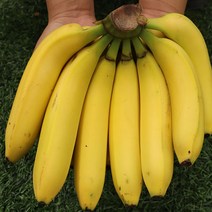 바나나 델몬트 부드러운 과육 달콤한맛 3송이, 수입 바나나 3송이 4kg내외