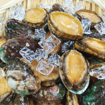 국내산 완도전복 1kg 25미내외 냉동전복, 냉동완도전복 1kg