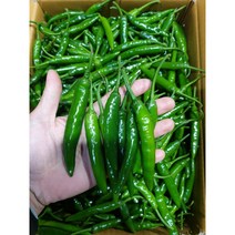 청양고추 1kg 매운고추 땡초 햇고추, 1kg(특), 1개